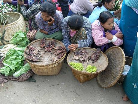 Unbenanntes Dokument